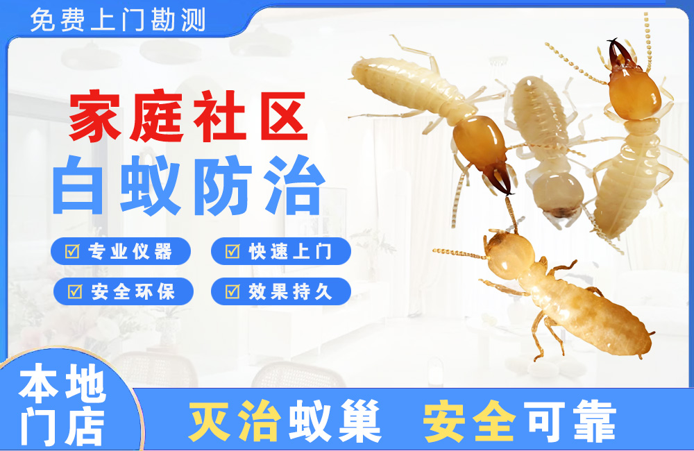 柳州家庭社区白蚁防治