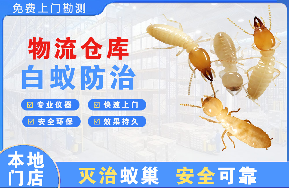 柳州物流仓库白蚁防治
