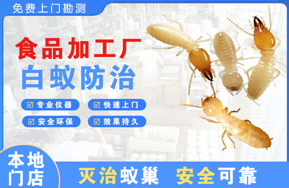 柳州食品加工厂白蚁防治