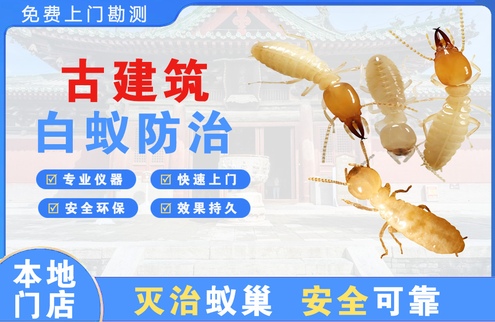 柳州古建筑白蚁防治