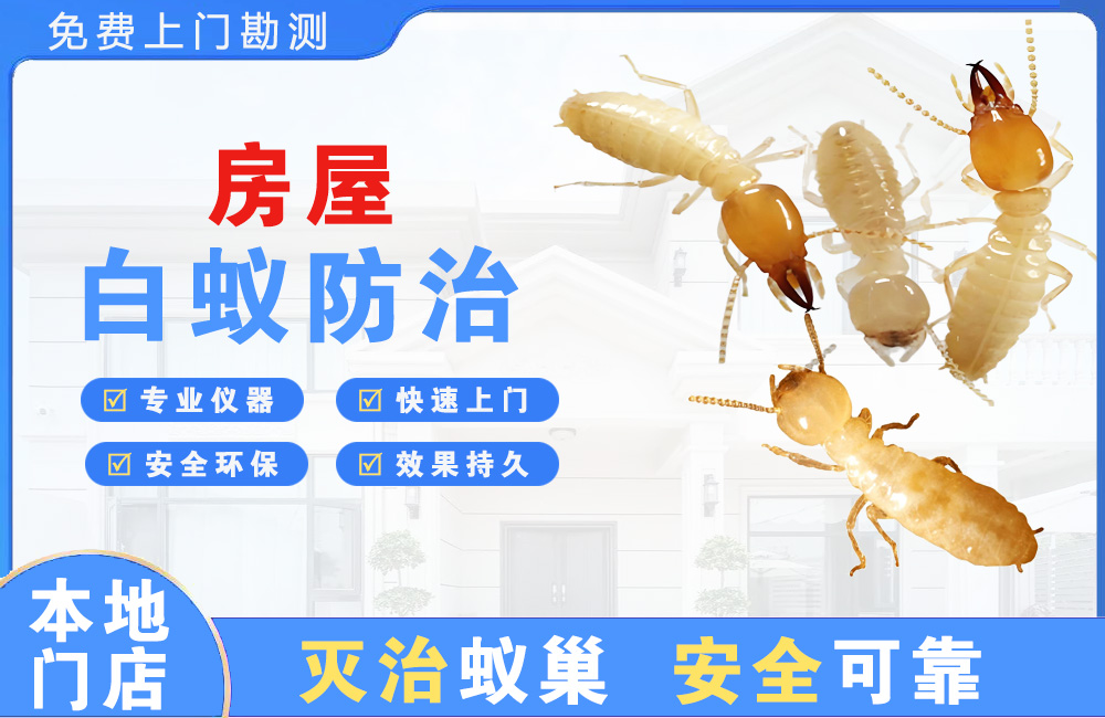 柳州房屋白蚁防治