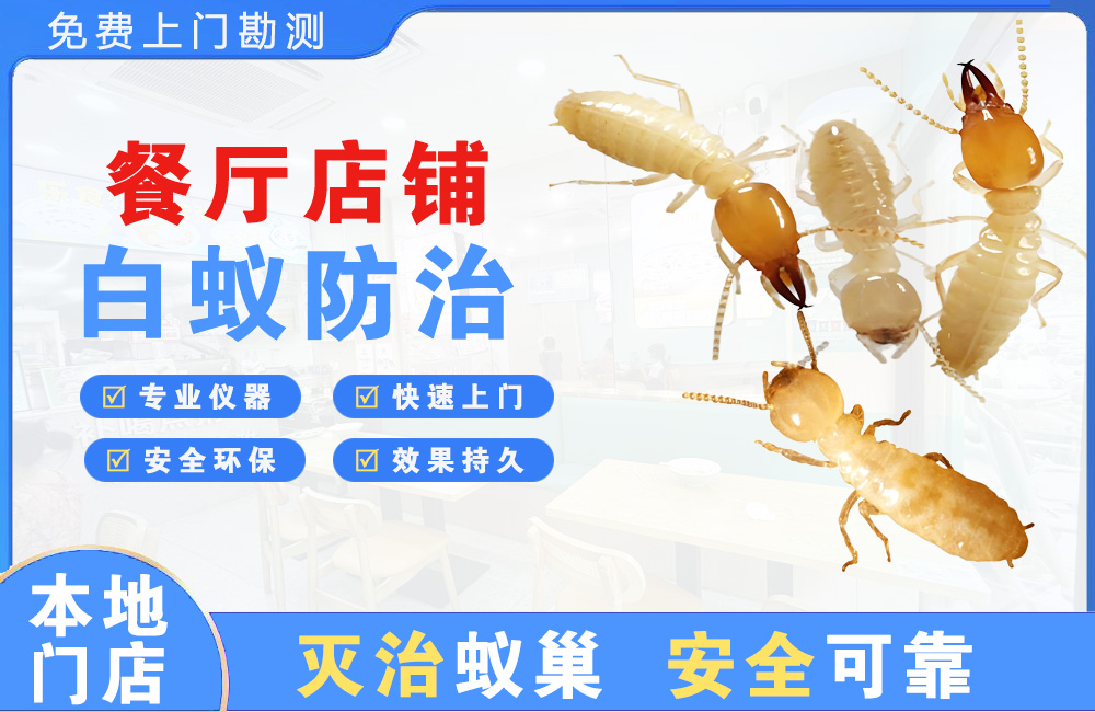 柳州餐厅店铺白蚁防治